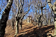 CASTEL REGINA (1424 m) e PIZZO CERRO ( 1285 m) ad anello da Catremerio l’11 gennaio 2019 - FOTOGALLERY